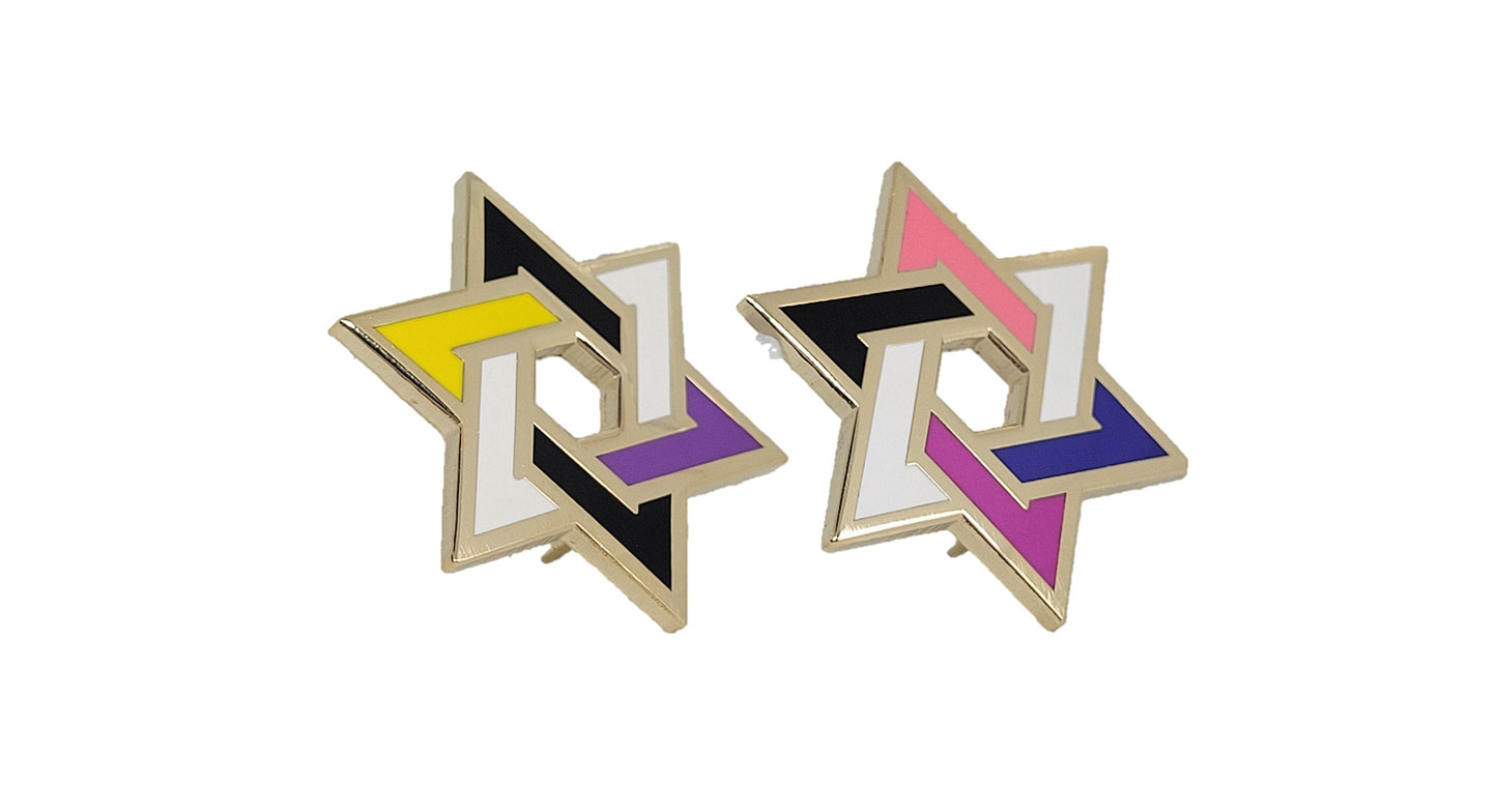 Six-Pointed Star of David LGBT+ Pride Pin | Pick Rainbow Bisexual Pansexual Asexual Lesbian Gay Male Omnisexual Nonbinary Genderfluid Trans