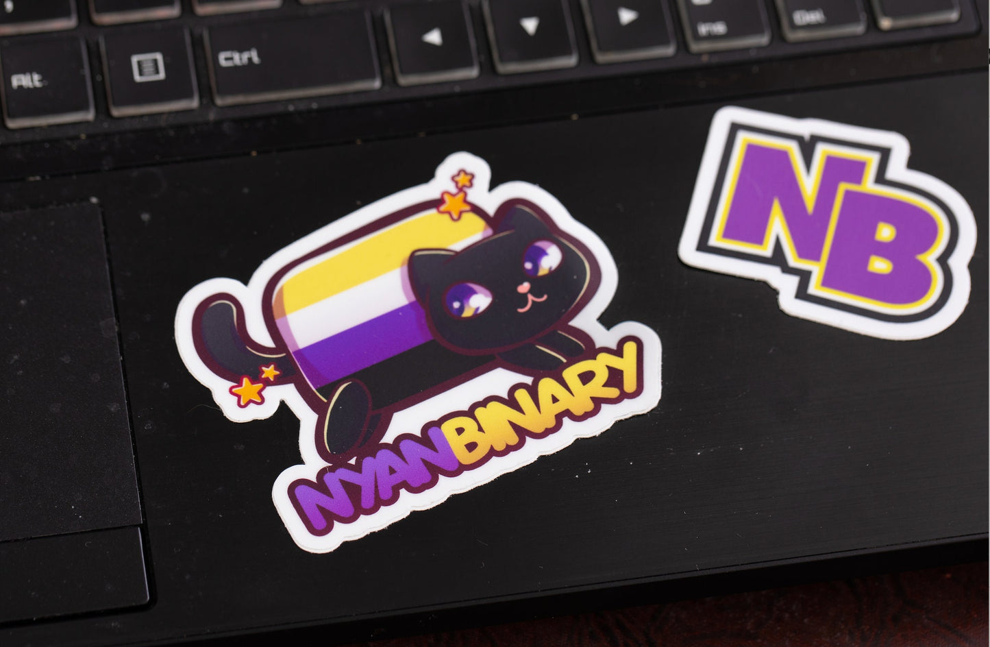 Nyanbinary Nyan Cat Nonbinary Pride Pun Decal 2" | Waterproof Die-Cut Vinyl Sticker for Car, Laptop, Water Bottle, Etc.