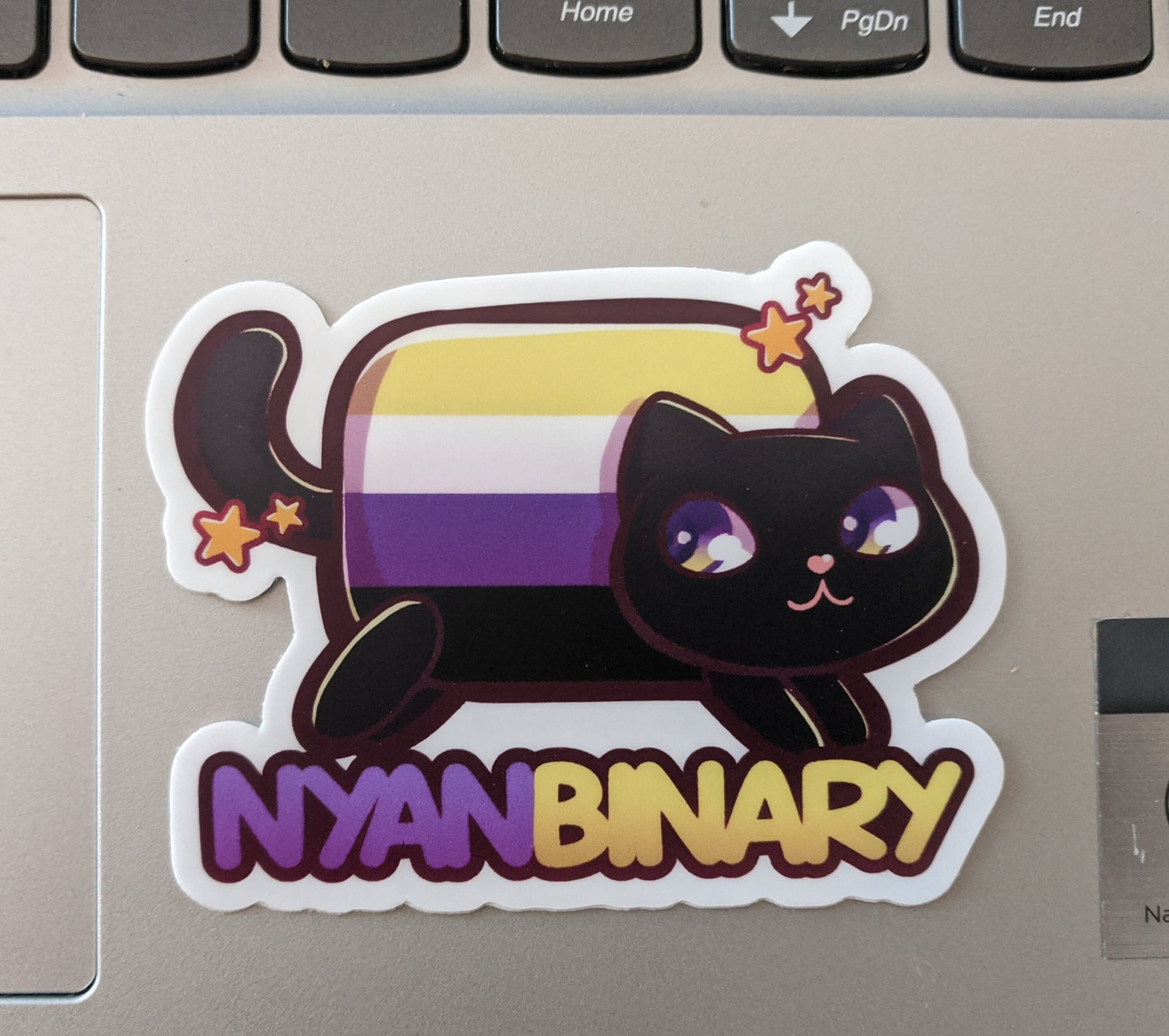Nyanbinary Nyan Cat Nonbinary Pride Pun Decal 2" | Waterproof Die-Cut Vinyl Sticker for Car, Laptop, Water Bottle, Etc.